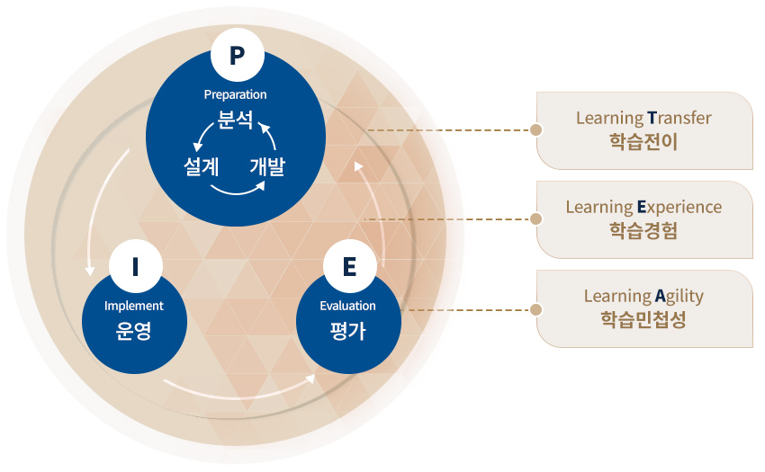 대학원 수업모형 개발